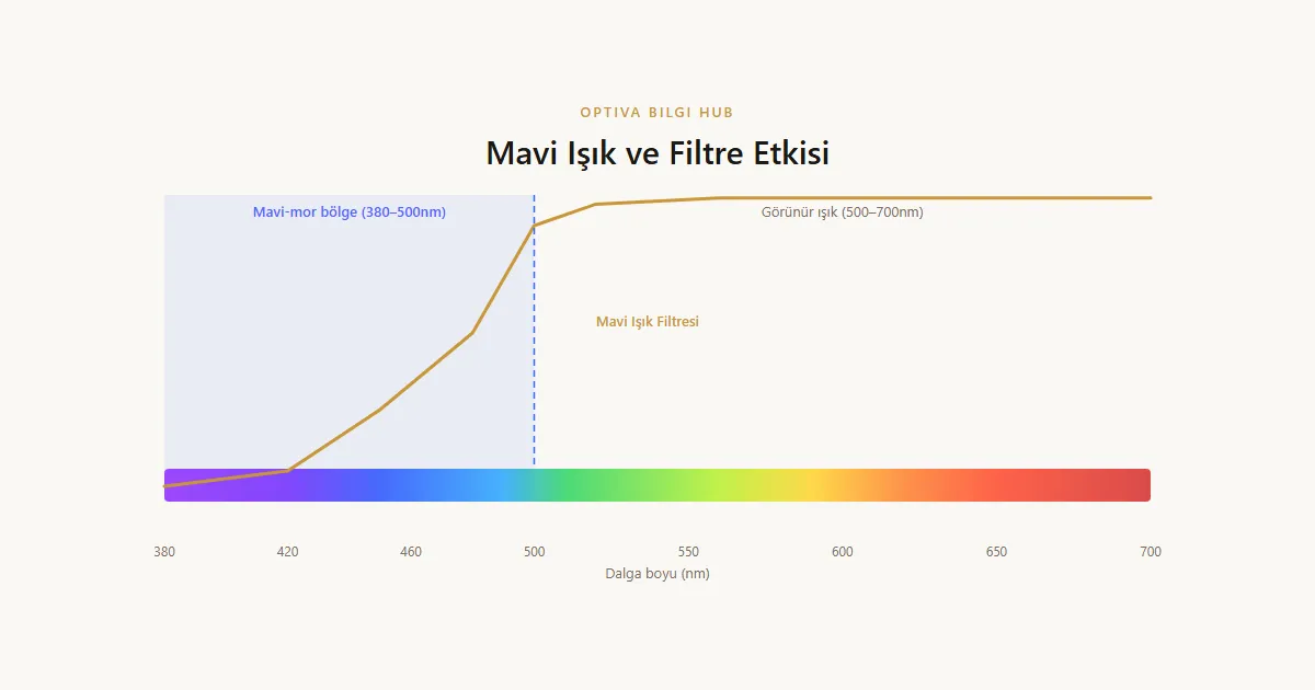 Optik bilgi infografiği — mavi ışık filtreli gözlük antalya